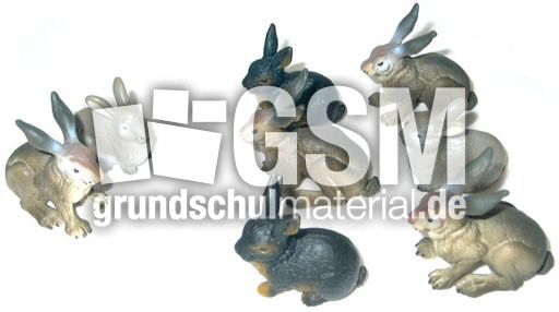 Hasen2+6.jpg